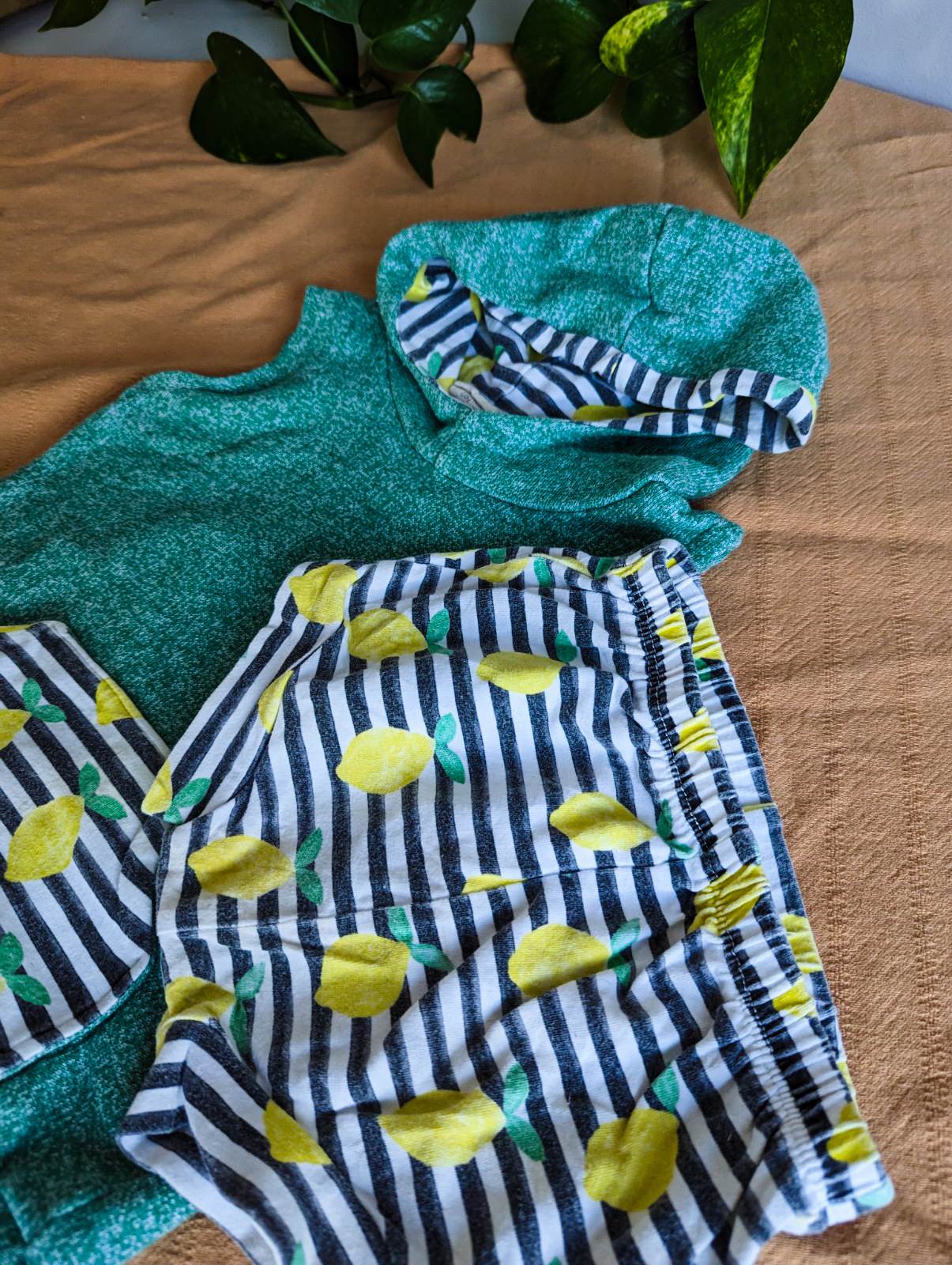 Bear & Roo Sleeveless Hoodie and Shorties Set (18-24)
