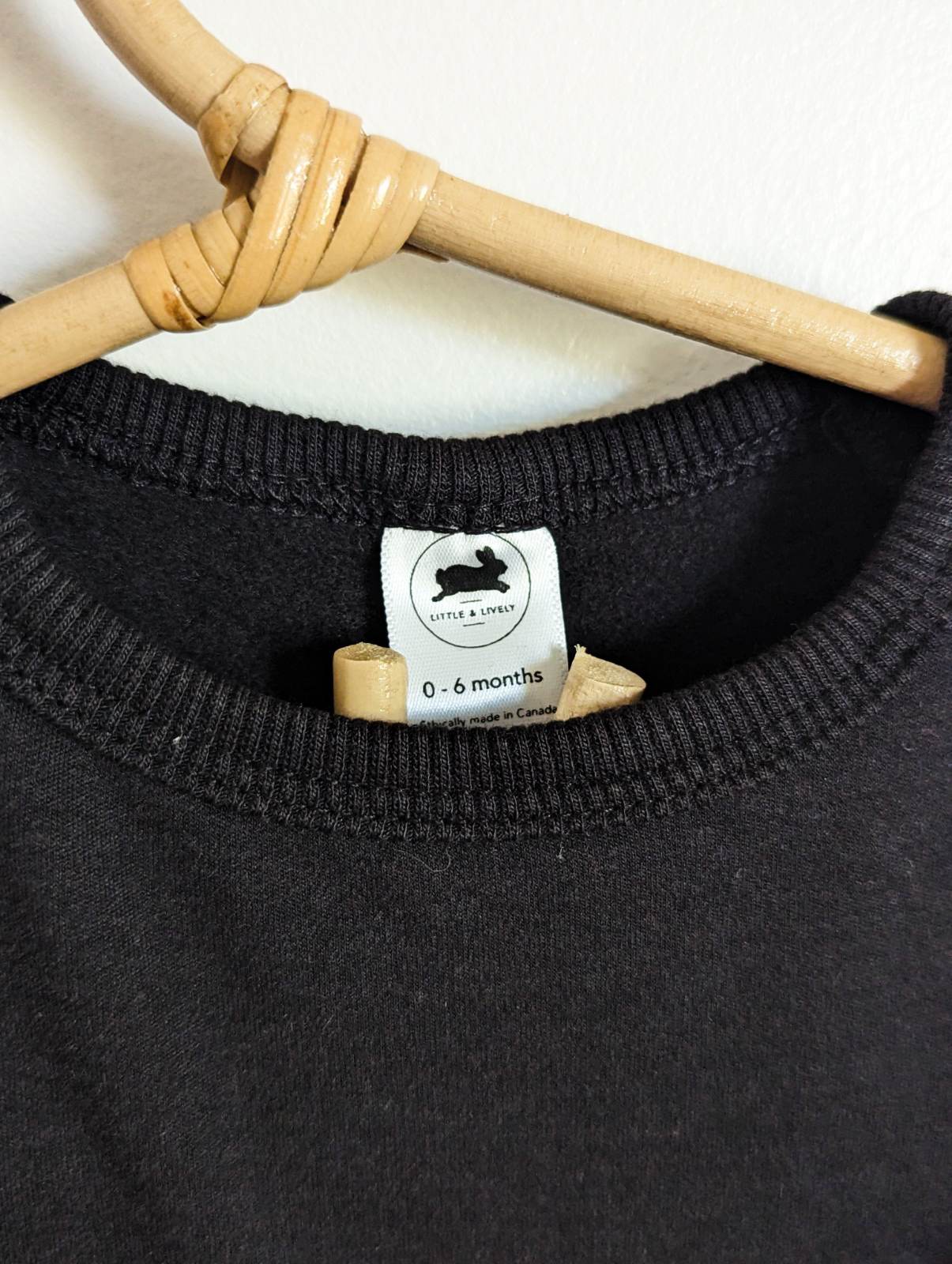 Little & Lively Fleece Lined Pullover (0-6, 6-12)