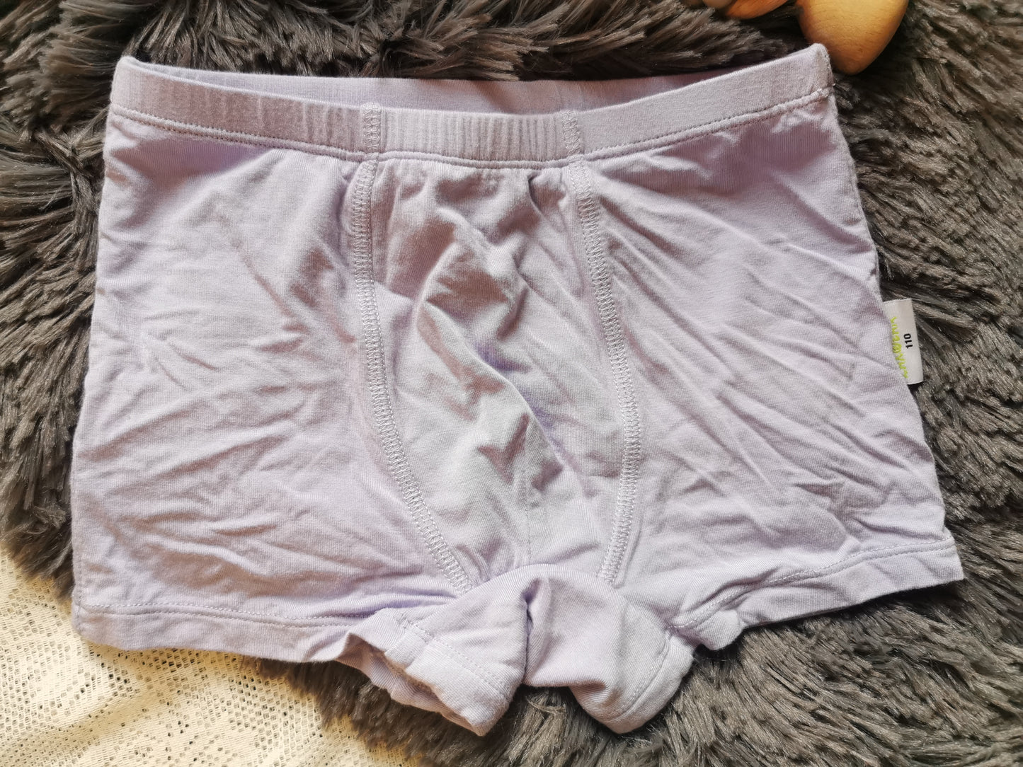 Zaxwear Bamboo Underwear in Lilac (4T)