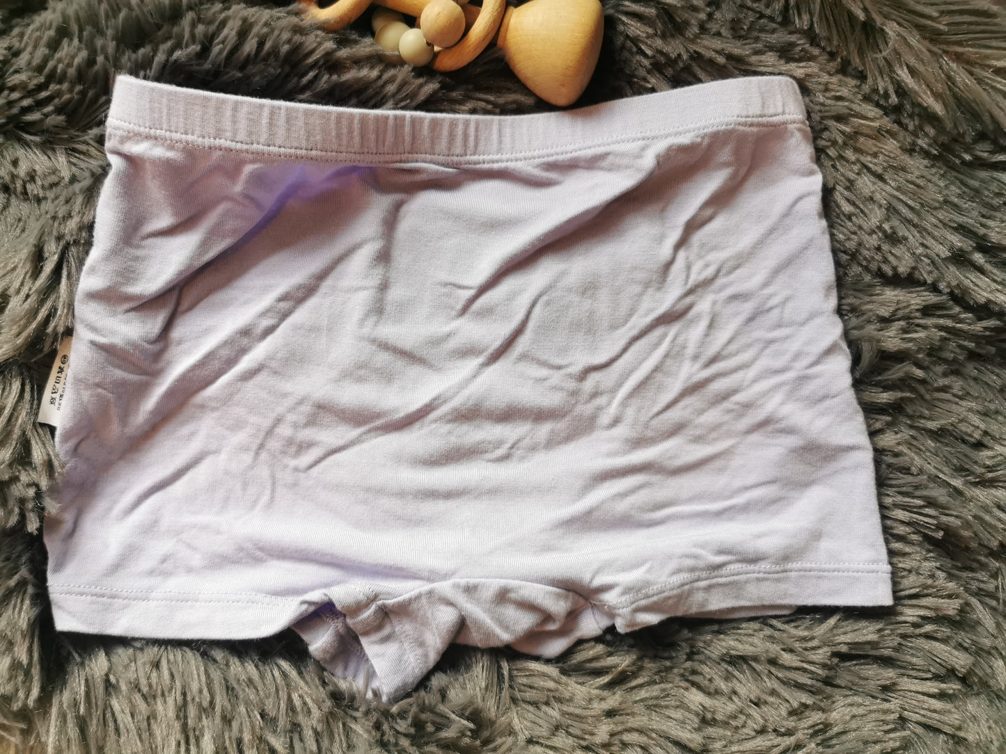 Zaxwear Bamboo Underwear in Lilac (4T)